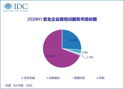 2020上半年中國IT安全服務市場穩(wěn)健增長，市場規(guī)模達40.23億元